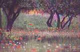 Provence-Entw. 6